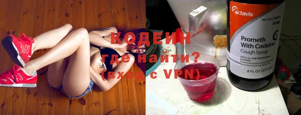 гашик Костерёво