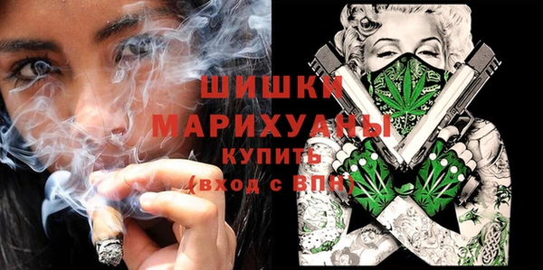 амф Коряжма