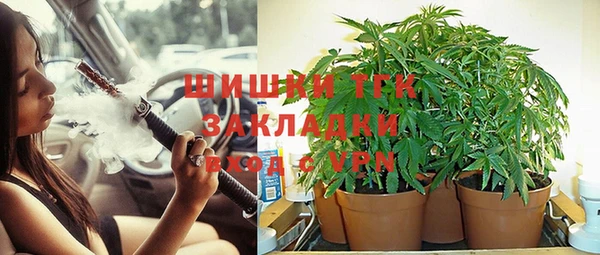 амф Коряжма